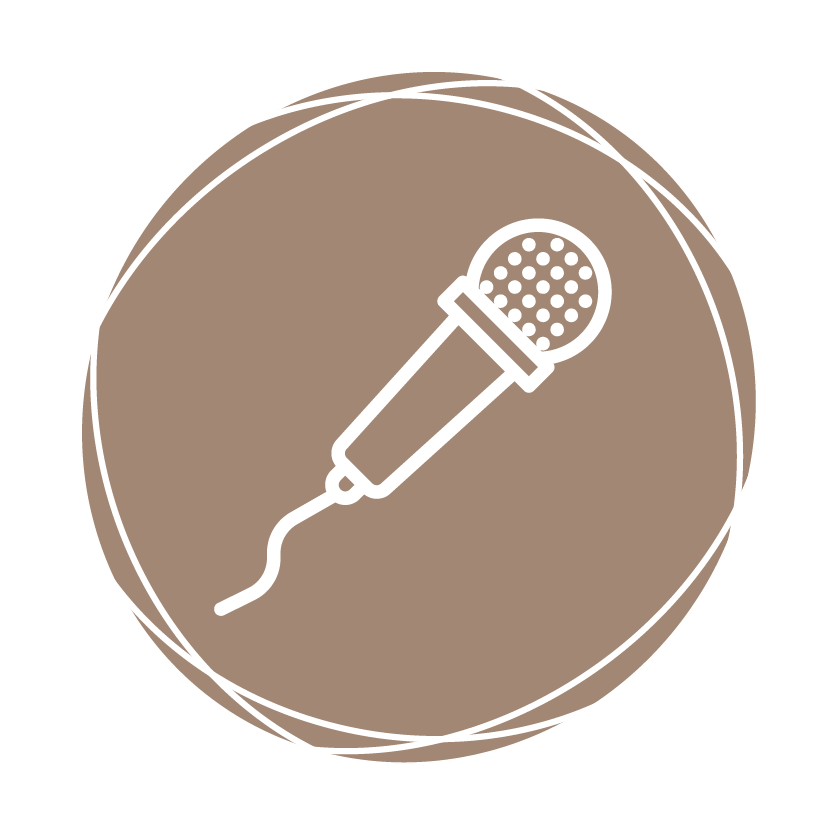 Icon Mikrofon
